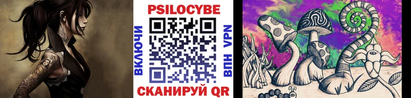 Галлюциногенные грибы Psilocybine cubensis  Купить  Архангельск 